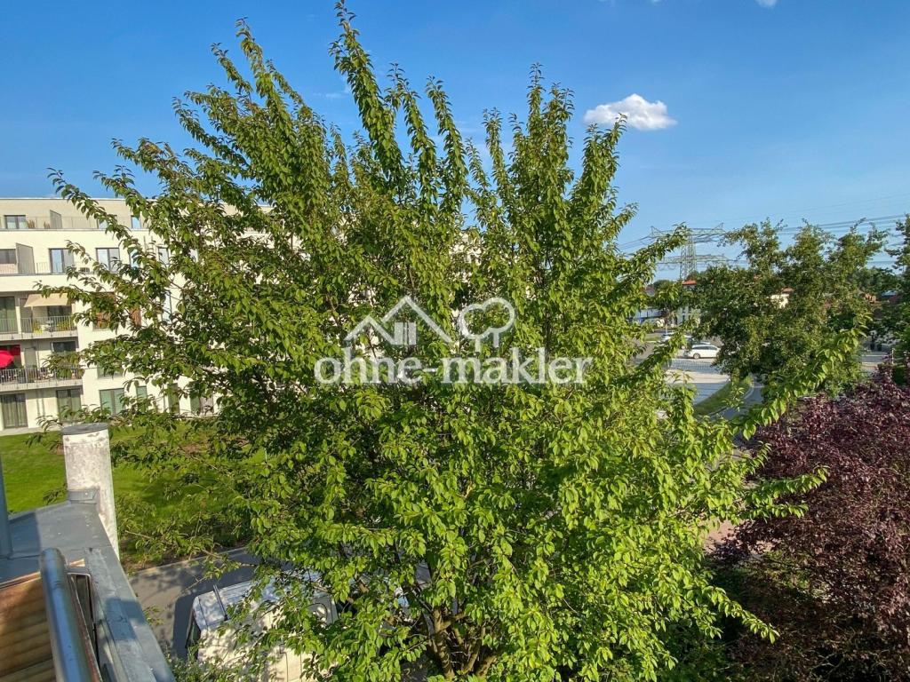Aussicht vom Balkon links