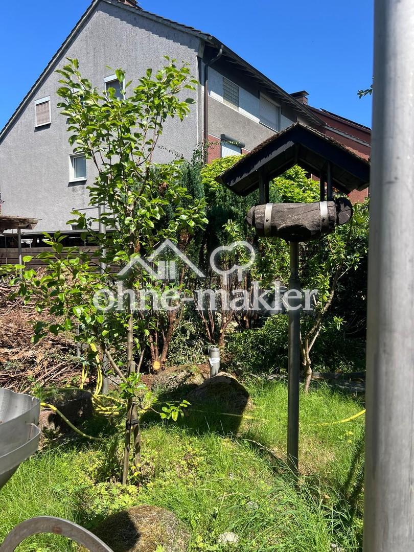 Garten : revitalisiert 