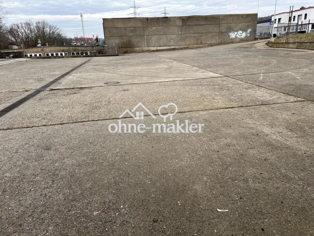 1757411203_100282643.jpg