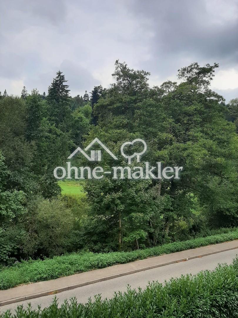...Blick ins Grüne