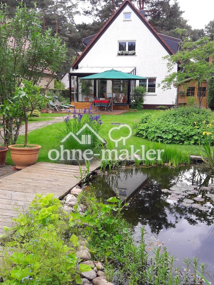 Teich im Garten