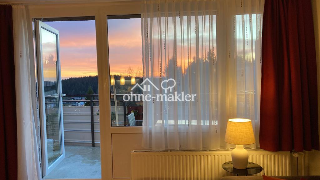 Wohnraum mit Blick auf Balkon
