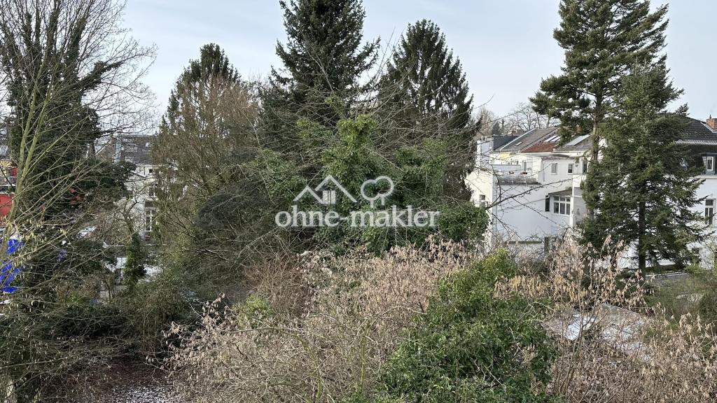 Blick in den Garten