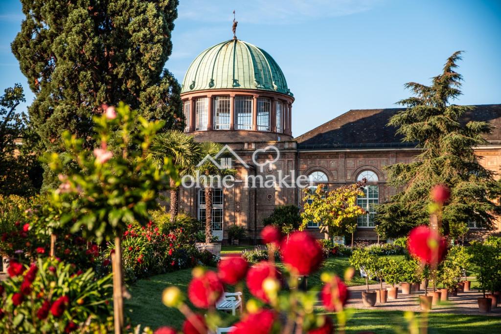Umgebung: Botanischer Garten