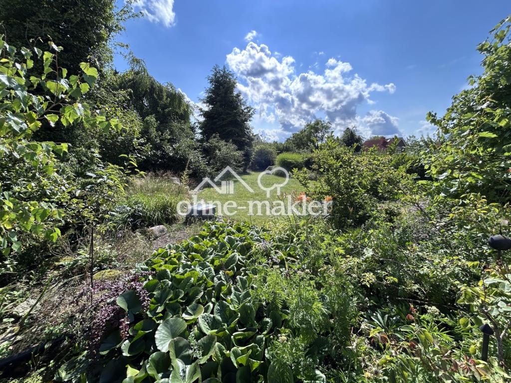 Blick in den großen Garten