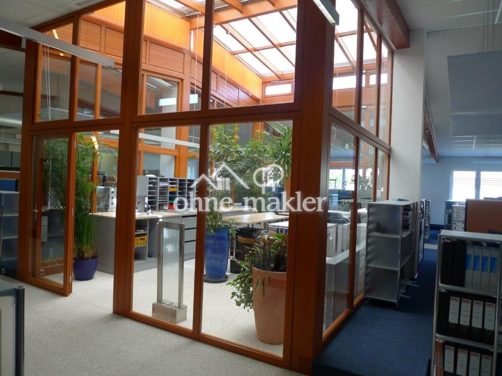 Gerätegarten, lichtdurchflutet