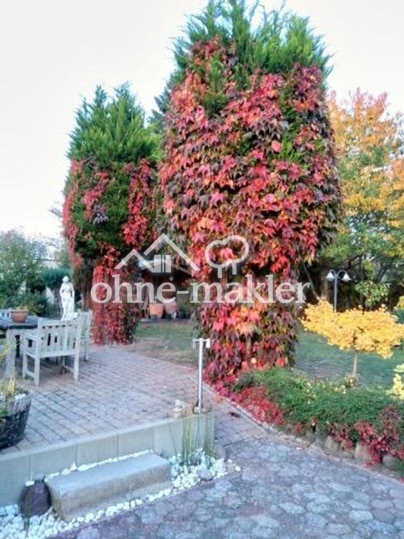Terasse 2 zum Garten