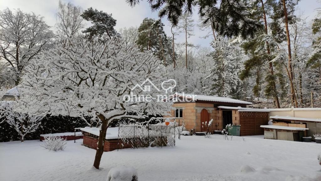 Garten im Winter