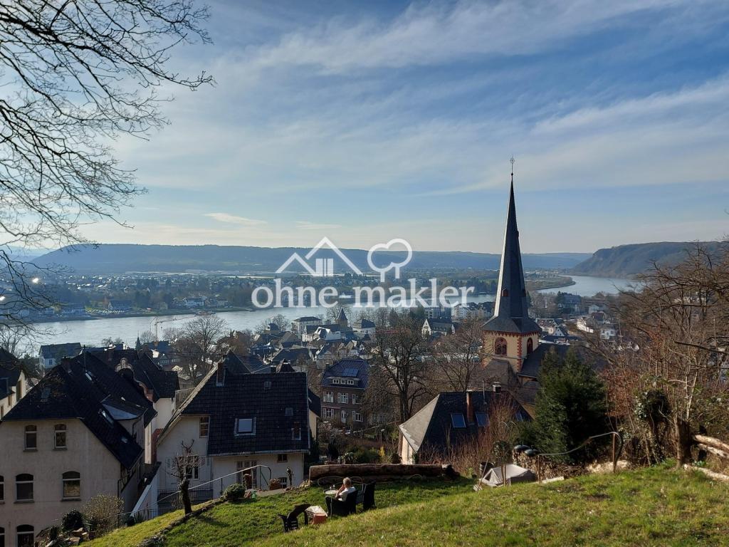 Rheinblick