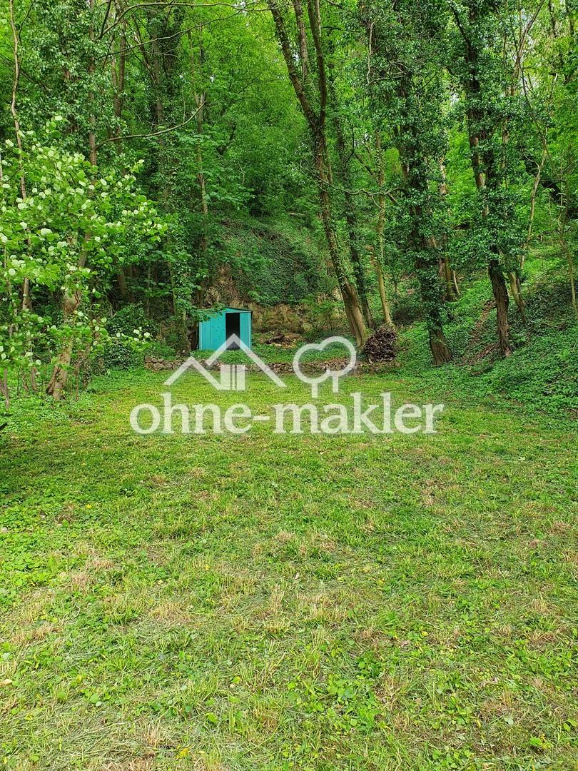 Wiese, Wald, Steinbruch
