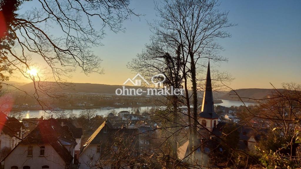 Rheinblick