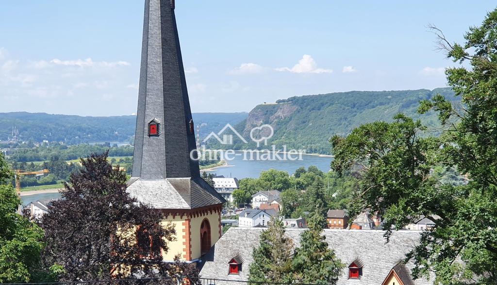 Rheinblick