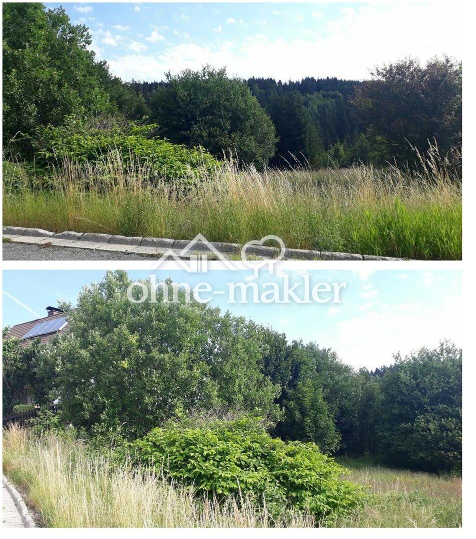 Blick ins Grundstück
