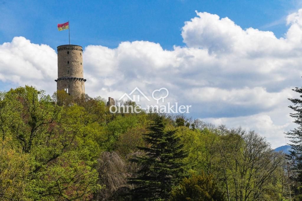 Burgblick