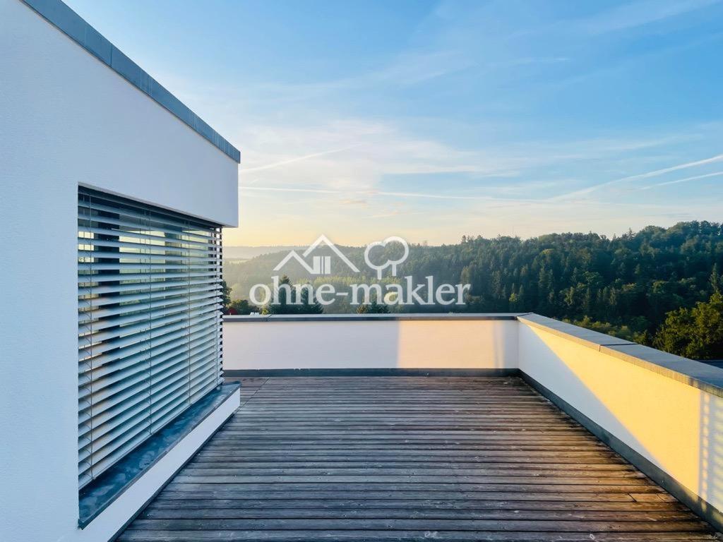 Fernblick Dachterrasse  