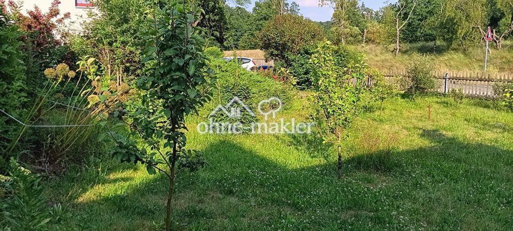 Blick in den Garten 