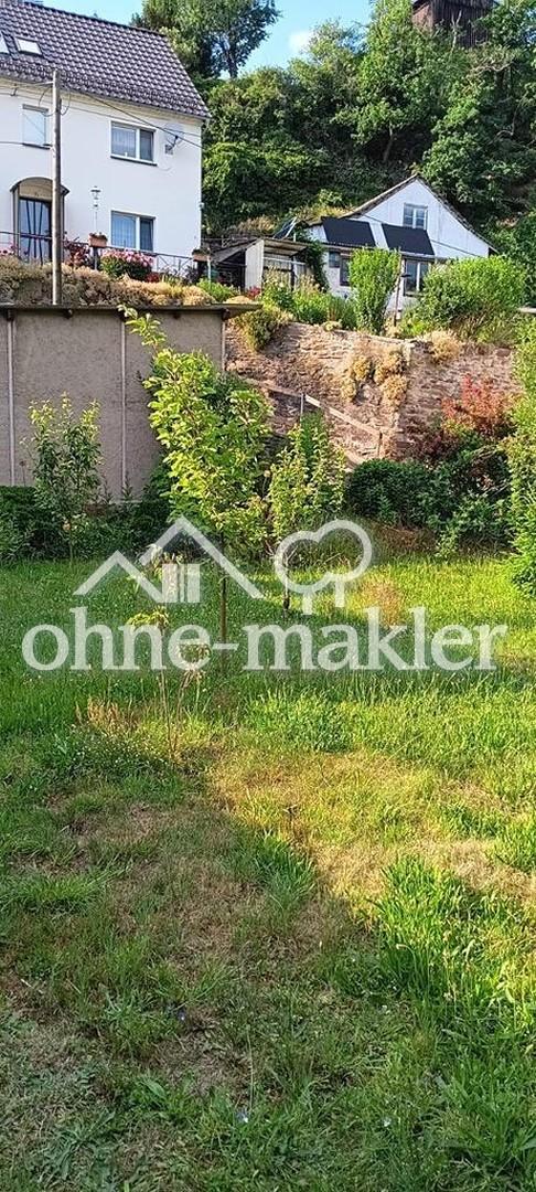 Blick in den Garten 