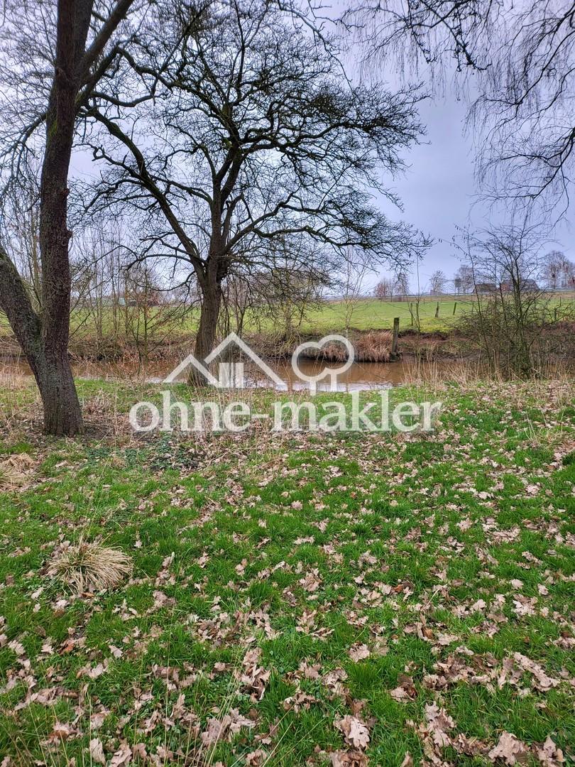 Blick zum Fluß