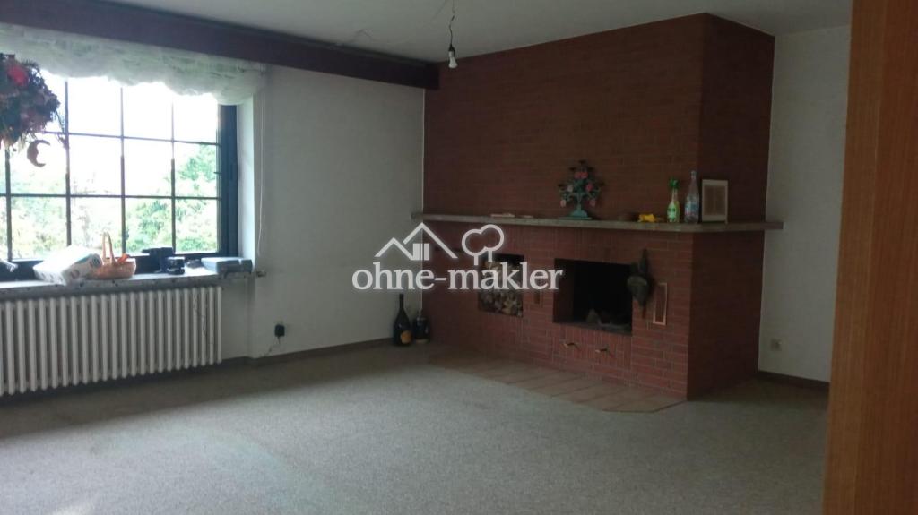 Wohnzimmer Kamin - offen 