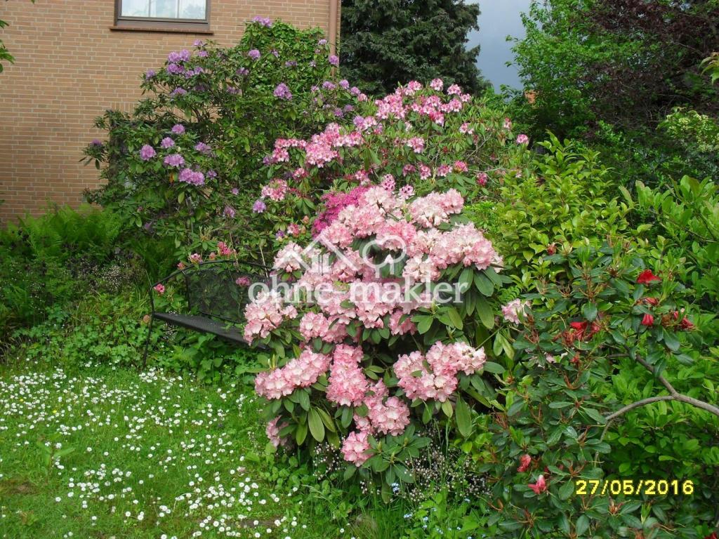 Impression aus d. Bauerngarten