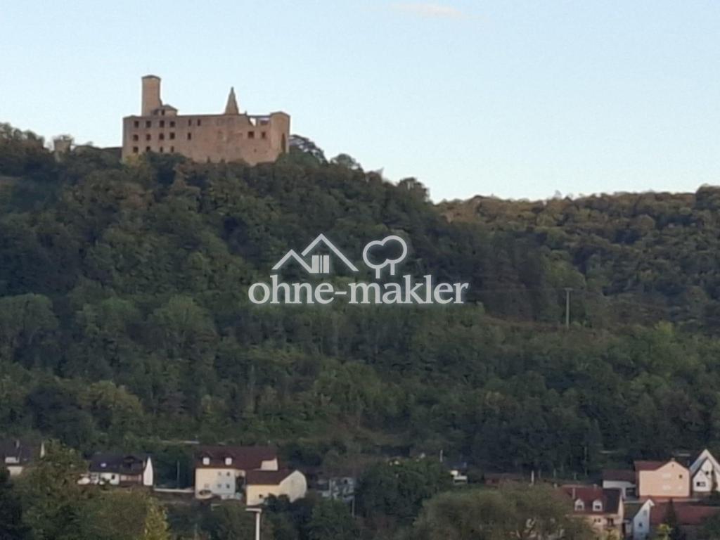 Blick auf die Trimburg