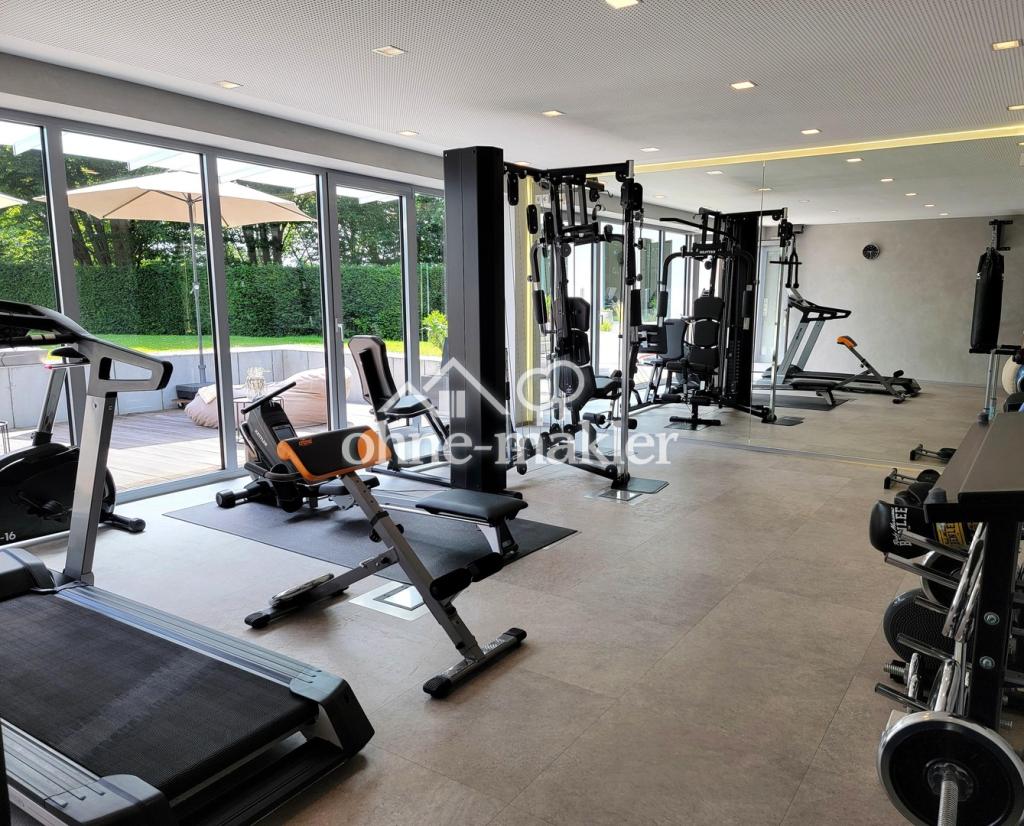 Professioneller Fitnessraum