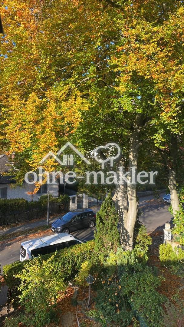 Blick aus dem Dachfenster