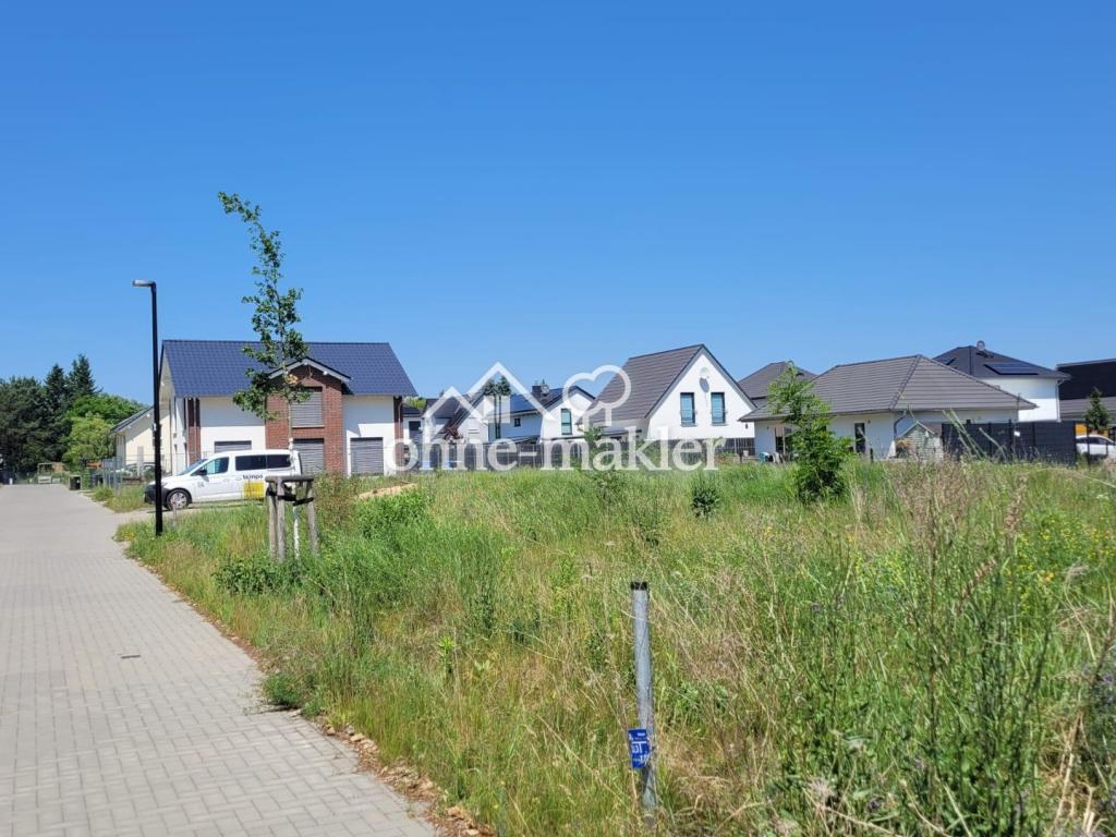 Baufeld