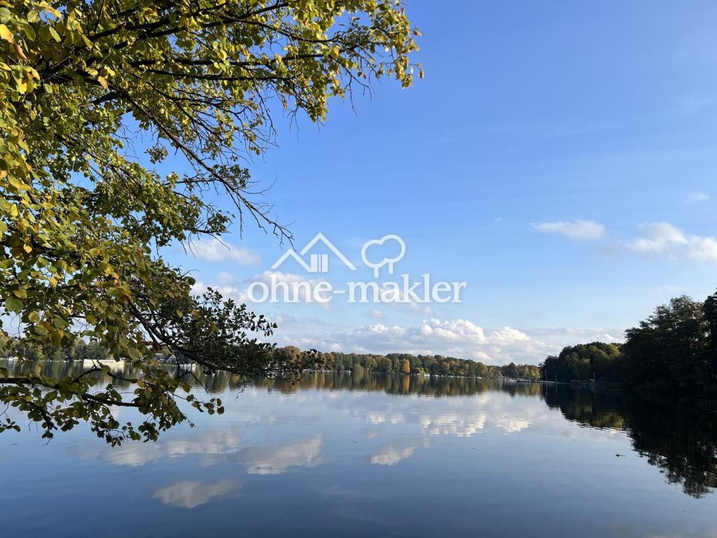 Havel