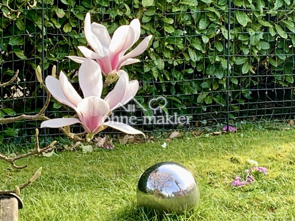 Impressionen