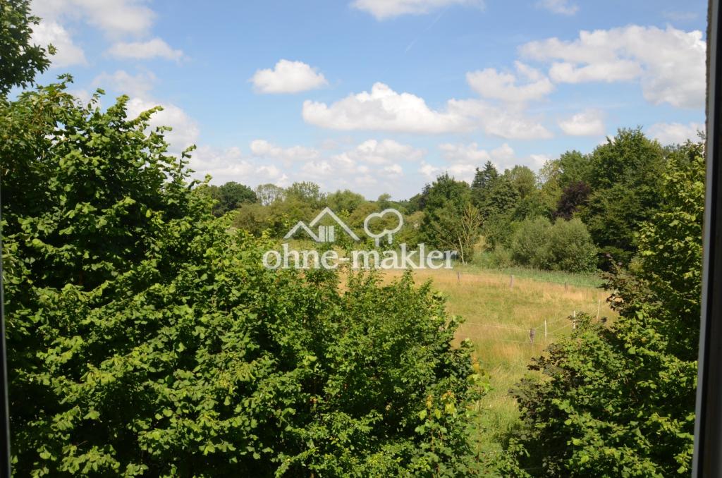 Blick nach Westen