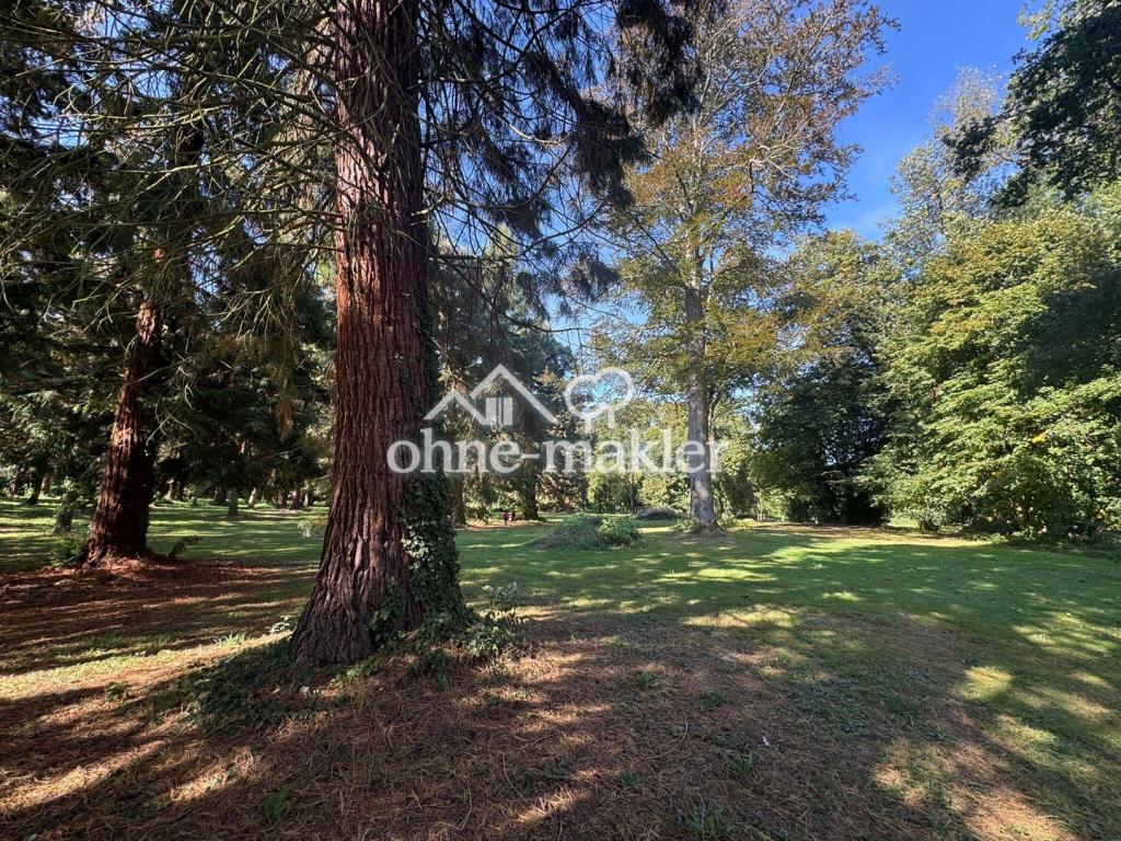 Schlosspark Paffendorf