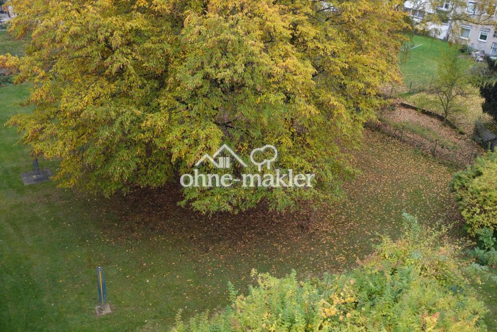 Garten 2