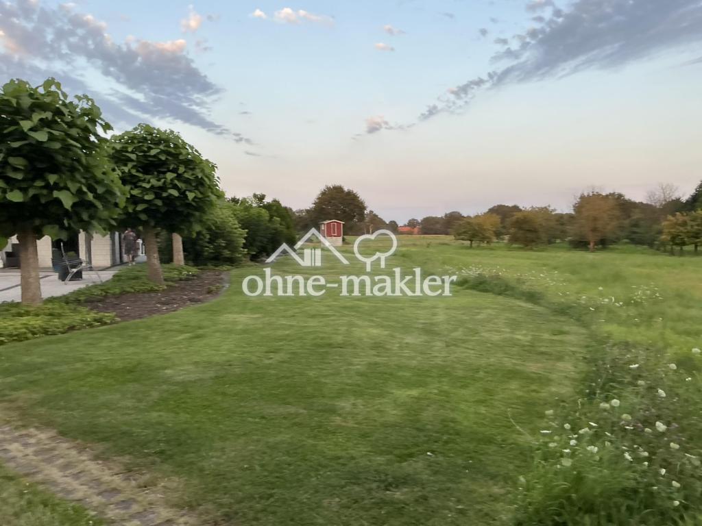 Blick in den Garten