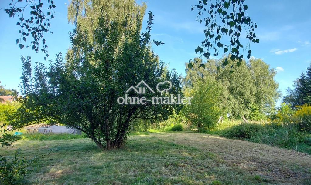 Garten_hinten