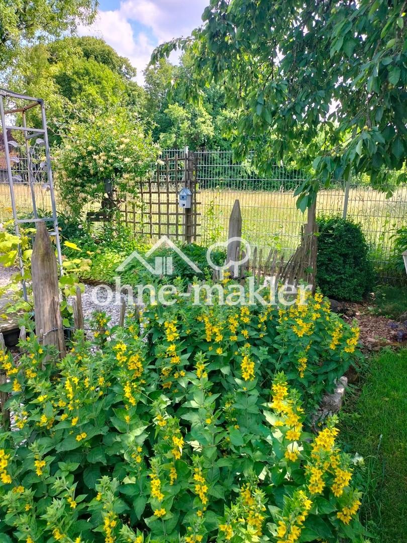 im Garten