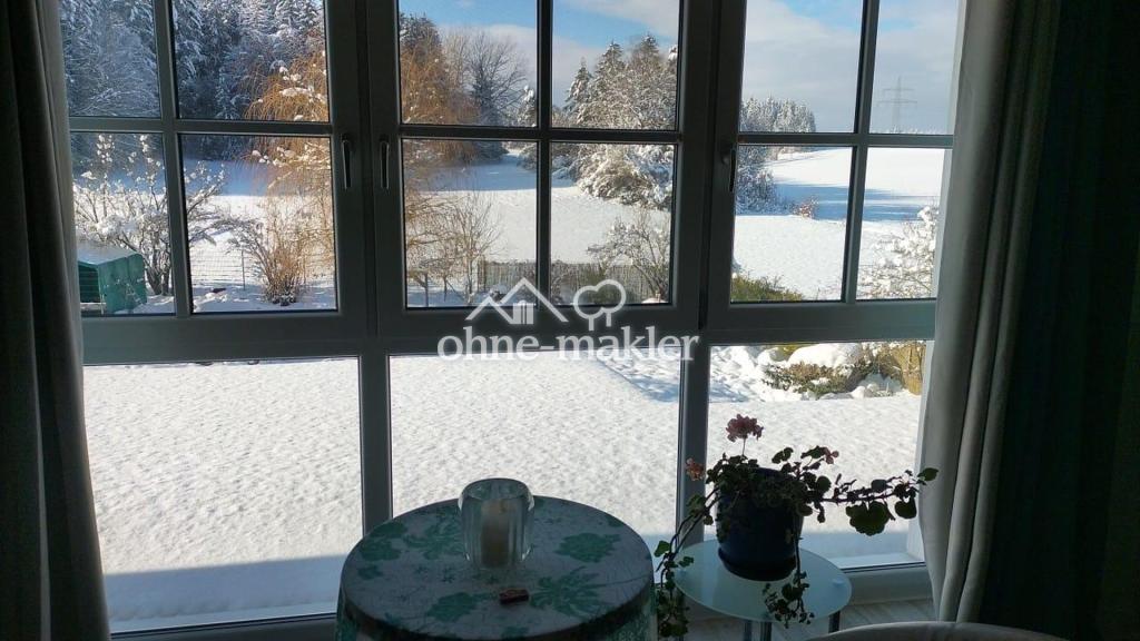 Blick in den Garten