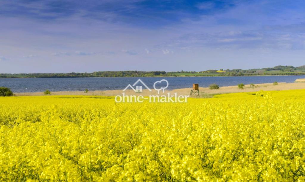 Tor zur Ostsee