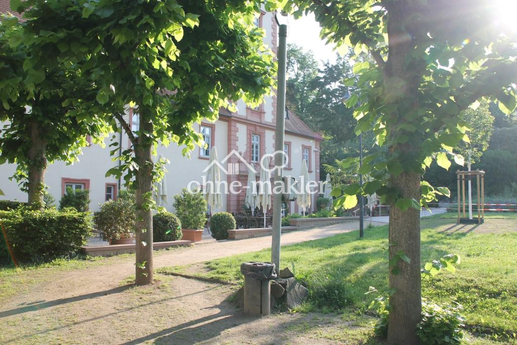 Stadtpark gegenüber