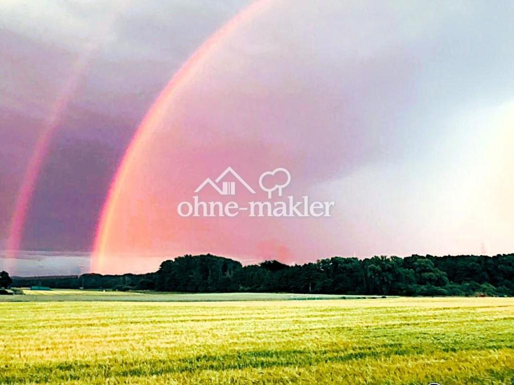 Der herrliche Blick II