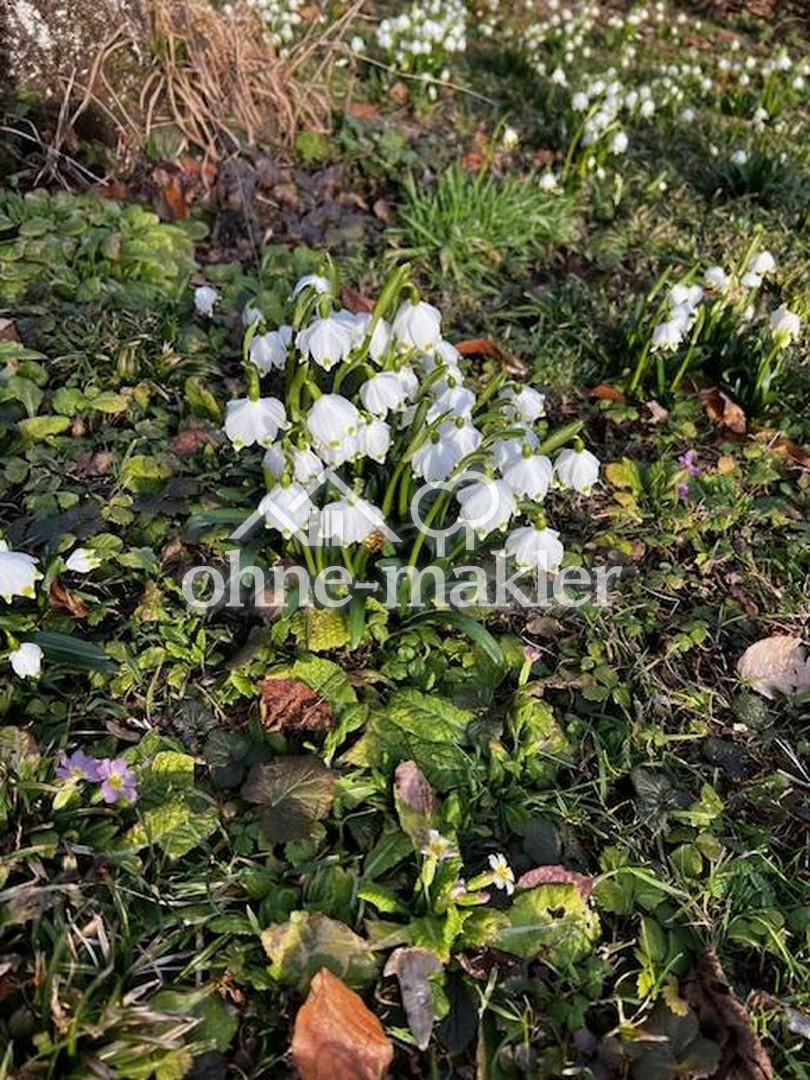 Immobilie in Herrsching am Ammersee -  - Bild 3