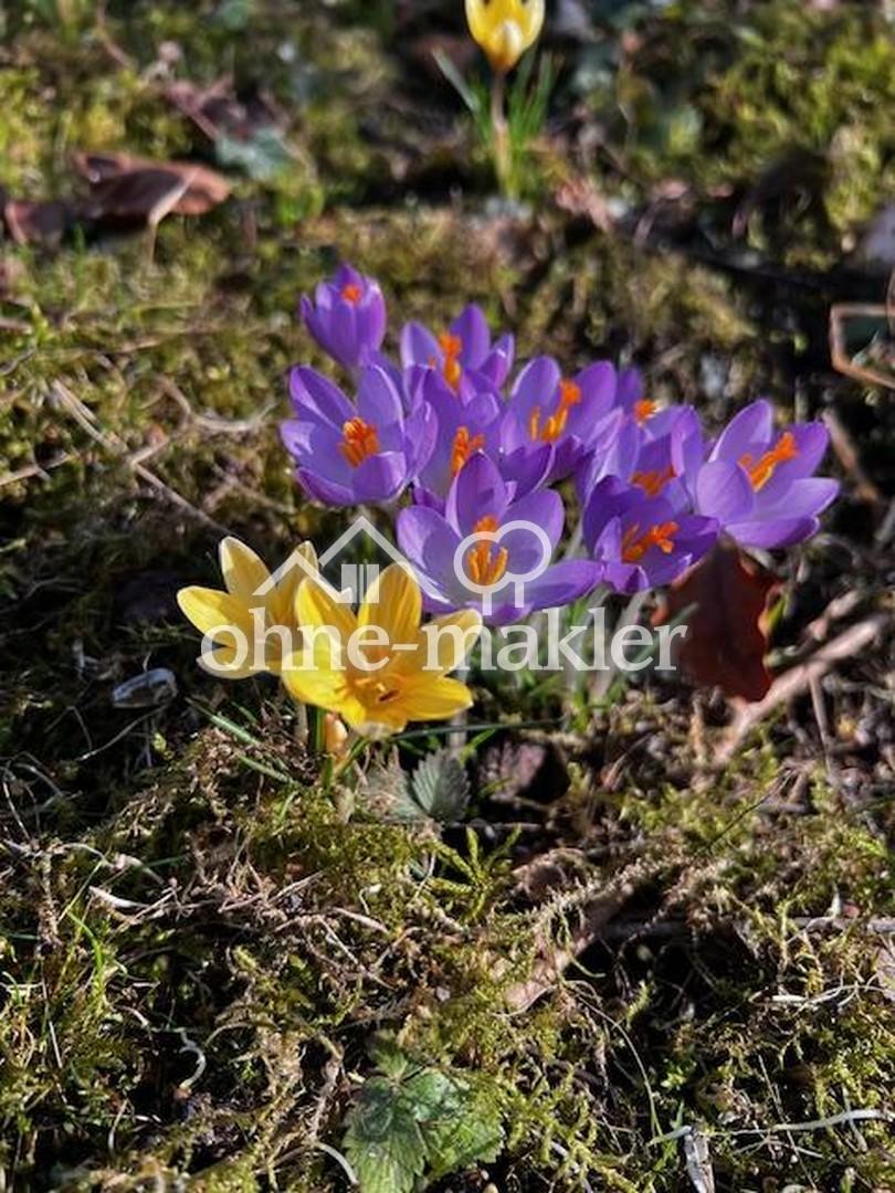 Immobilie in Herrsching am Ammersee -  - Bild 1