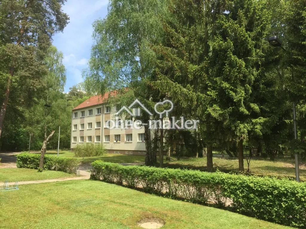 3 und 4 Zimmer im Grünen – Ziegendorf ab 549 € warm - mit EBK - Foto 5