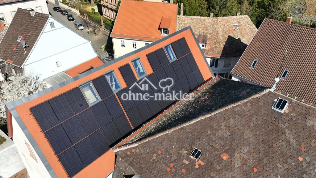 Leben im Denkmal -historisch-energieeffizient-ökologisch- nur noch 2 freie Wohnungen - - Foto 3