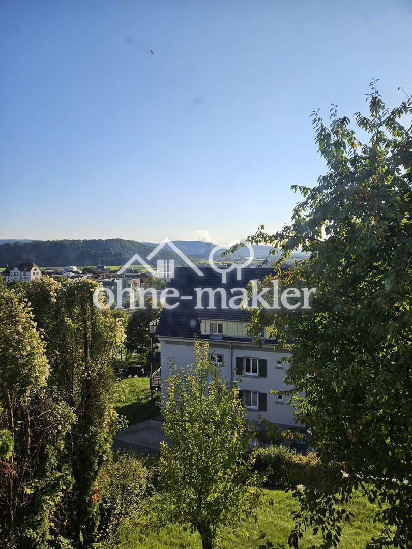 Renovierte, zentrale 1-Zi. Whg. mit schöner Aussicht über Waldshut - Foto 3