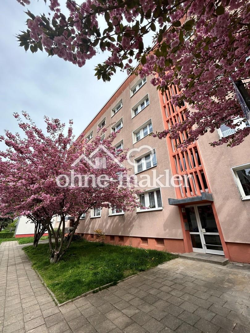 Renovierte und helle 1-Zimmer-Wohnung mit Duschbad - Foto 5