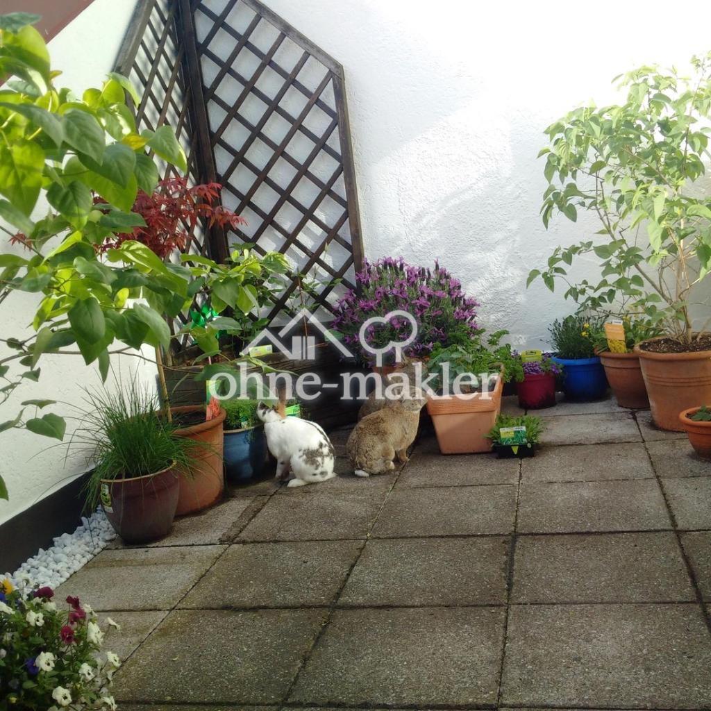 Helle, freundliche Dachgeschoß- Wohnung 2 ZKB - Foto 5