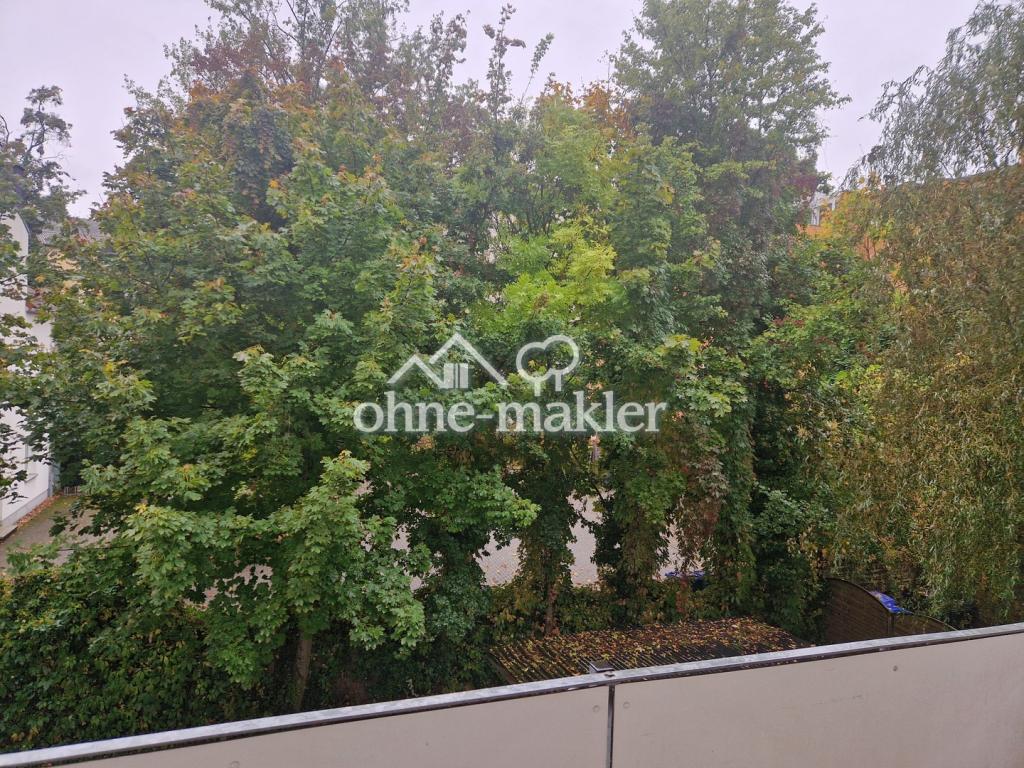 Frisch sanierte/renovierte, helle Zweiraumwohnung mit ruhigen Süd-Westbalkon in Stadtfeld-Ost - Foto 5