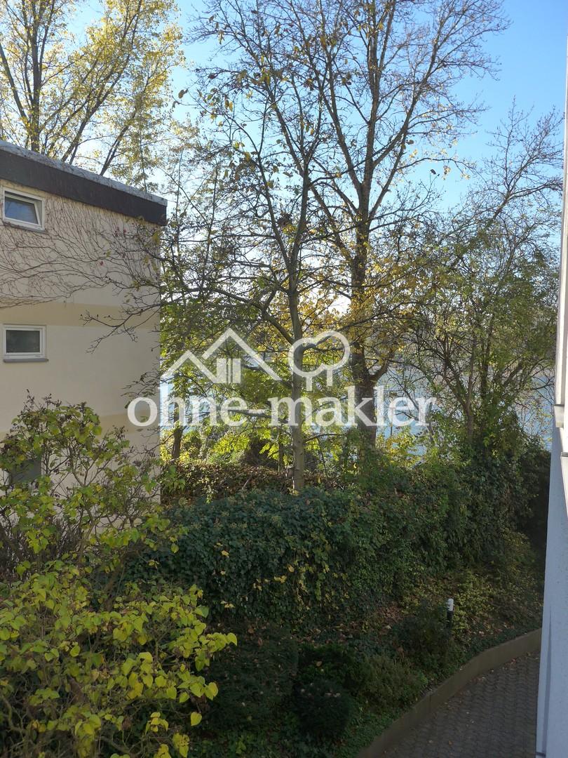 möbliert: 42m²-Apartment mit Küche, Bad, Flur, direkt am Rhein. gute Parkmöglichkeit - Foto 1