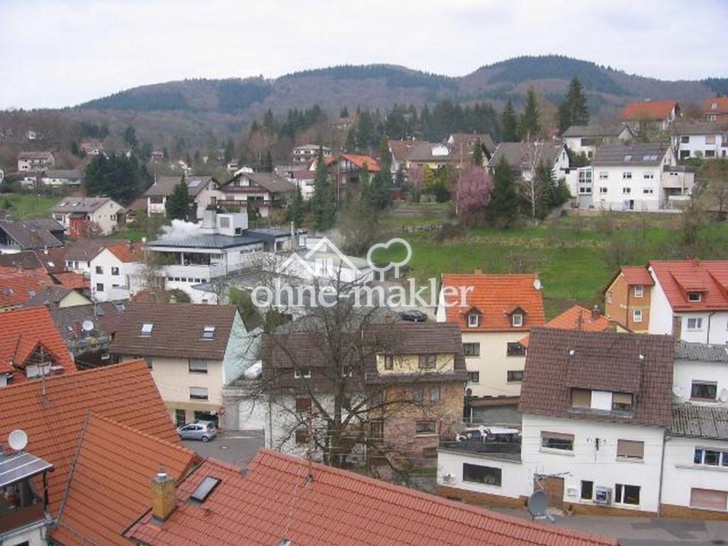 Schöne helle 3-Zimmer Wohnung in Schriesheim-Altenbach - Foto 4